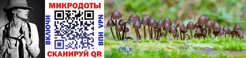 Купить закладки  Шагонар  Галлюциногенные грибы мухоморы 